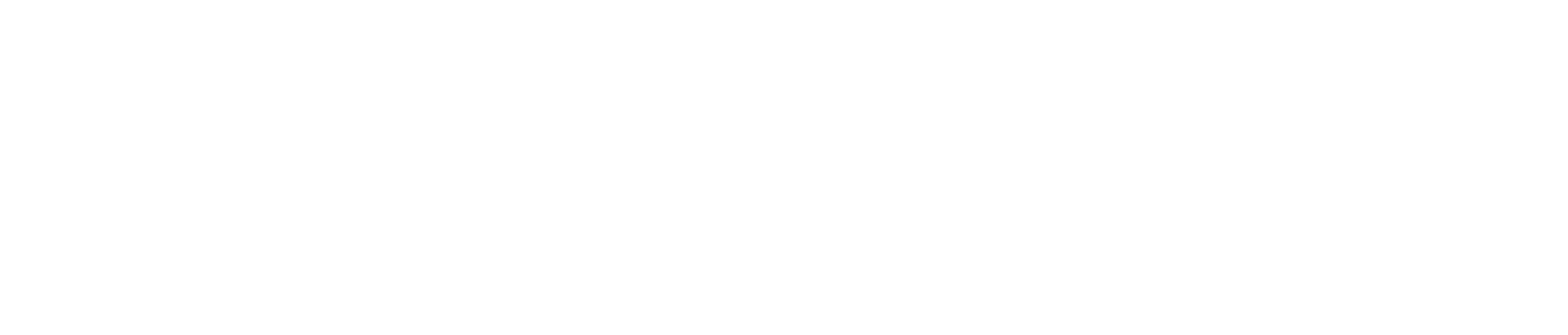 inex logo white transparent